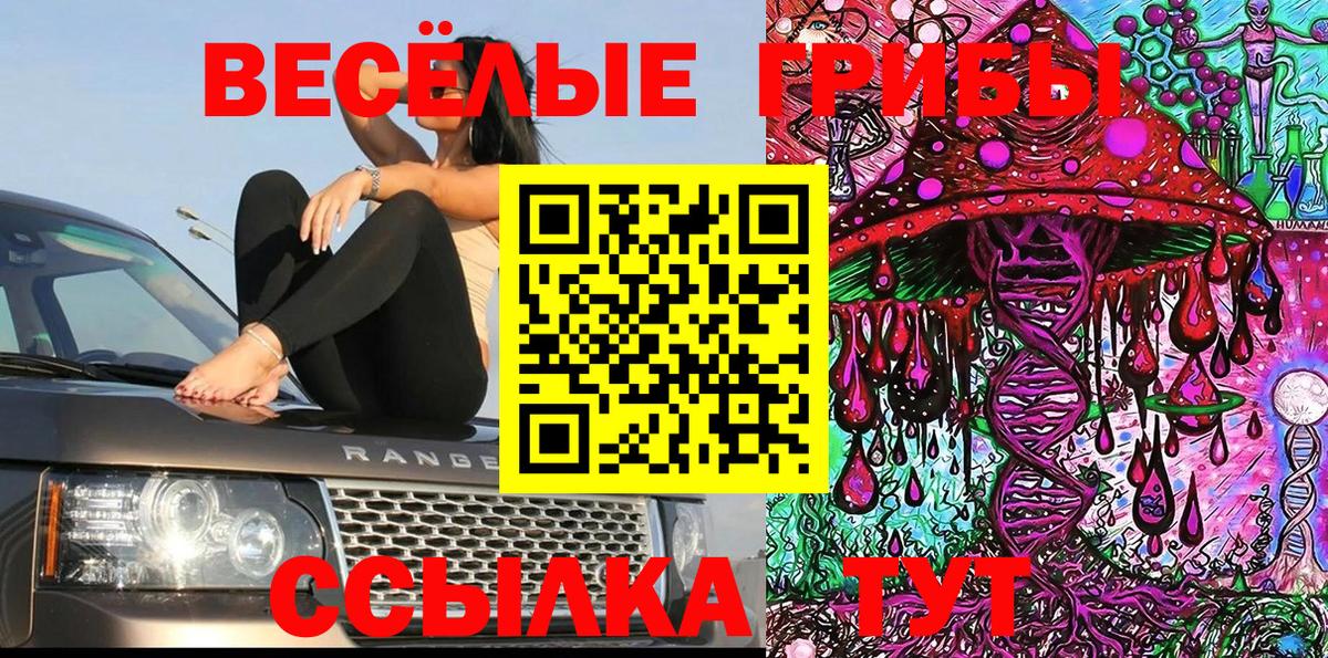 Туапсе  Псилоцибиновые грибы Psilocybe  Вход с VPN  Галлюциногенные грибы мицелий 