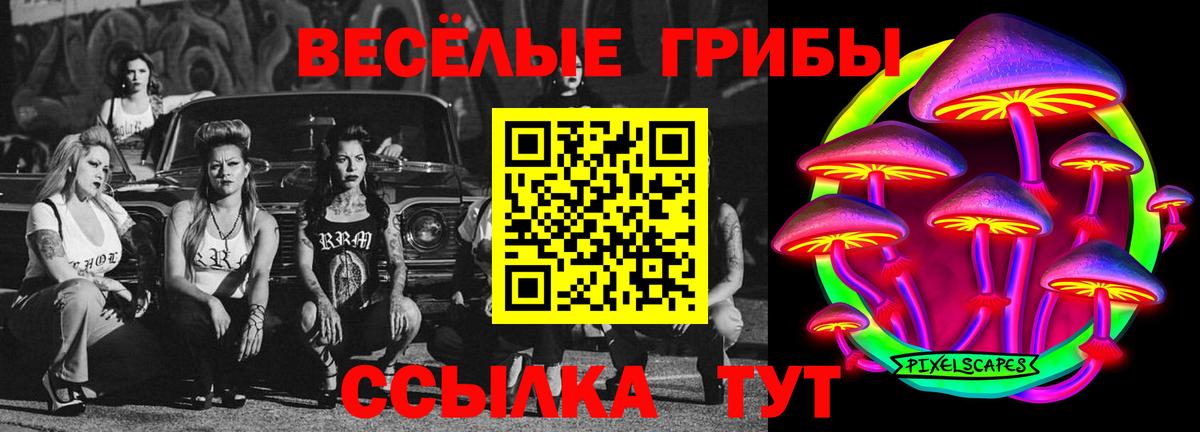 Псилоцибиновые грибы GOLDEN TEACHER Туапсе